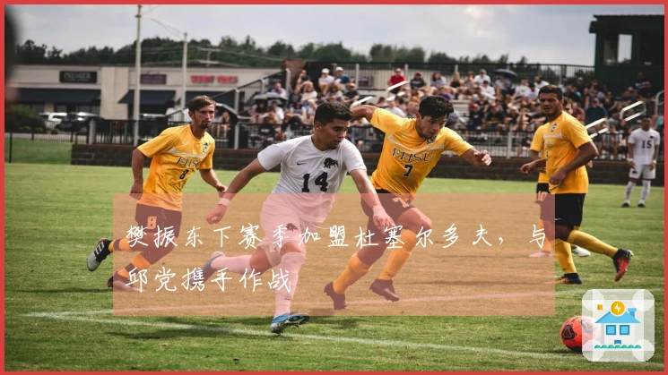 樊振东下赛季加盟杜塞尔多夫，与邱党携手作战